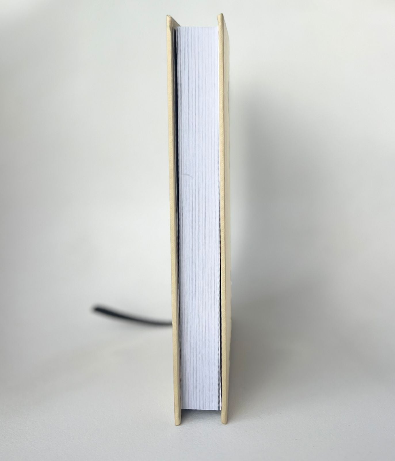 The Enso Life Planner 2026 Beige